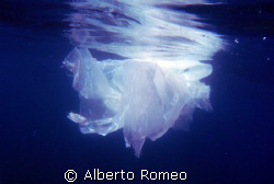 WHAT KIND OF JELLYFIS IS IT ??  PLASTIC POLLUTION !!!
TH... by Alberto Romeo 